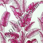 Colour:C