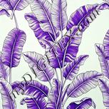 Colour:D