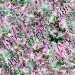 Colour:B