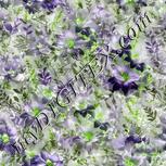 Colour:D