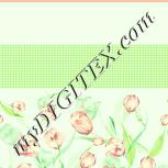 Colour:K