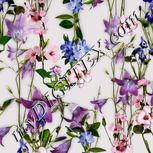 Colour:A