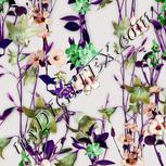 Colour:B