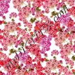 Colour:A