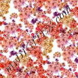 Colour:B