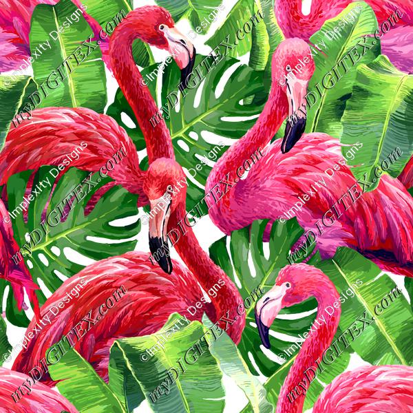Flamingos (on white)