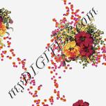 Colour:A