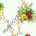 Colour:K