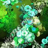 Colour:C