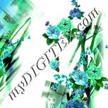 Colour:B