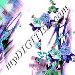 Colour:J