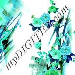 Colour:K