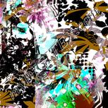 Colour:B