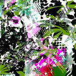 Colour:C