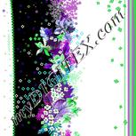 Colour:C