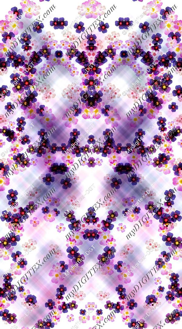 D006607