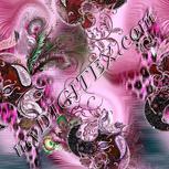 Colour:B