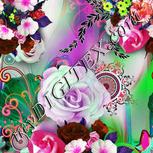 Colour:B
