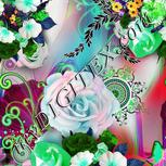Colour:C