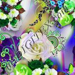 Colour:D