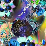 Colour:F