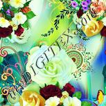 Colour:K