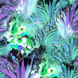 Colour:C