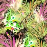 Colour:D