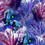 Colour:F