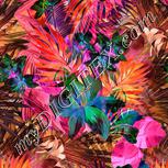 Colour:F