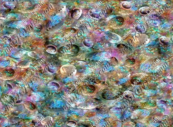 abalone shells