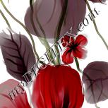 Colour:B