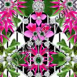 Colour:B