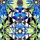 Colour:F