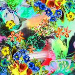 Colour:A