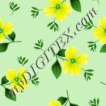Colour:K