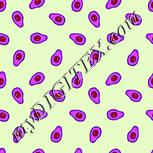 Colour:B