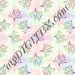 Colour:B