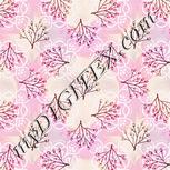 Colour:C