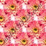 Colour:A