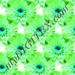 Colour:C