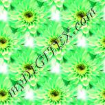 Colour:D