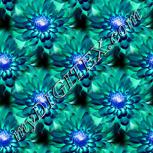 Colour:F