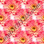 Colour:J