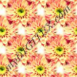 Colour:K