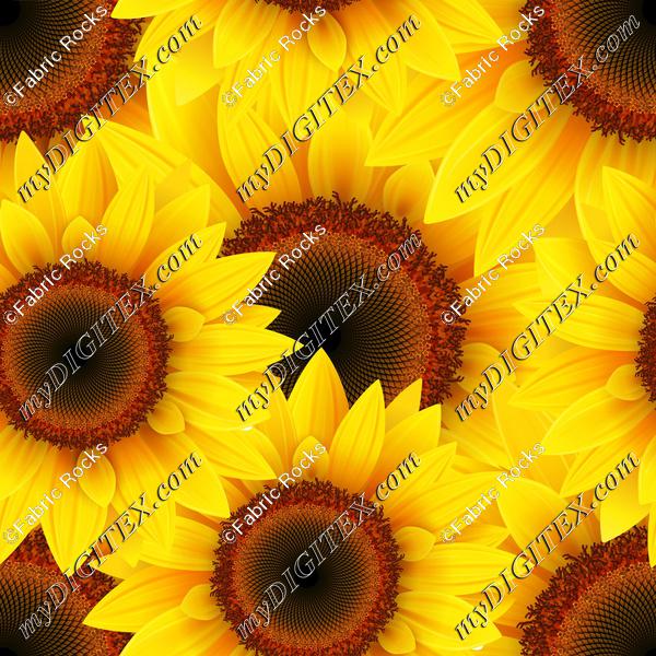 More Sunflowers for Sharon