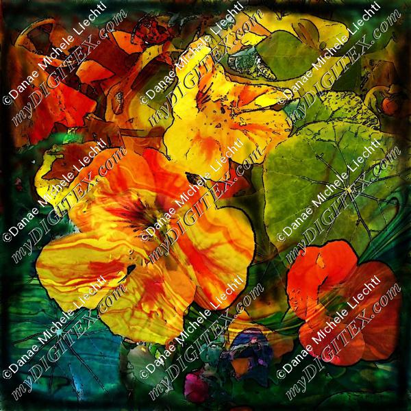 nasturtiums  marbled black edge-2800