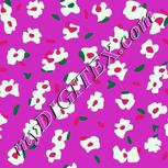 Colour:B