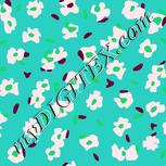 Colour:C
