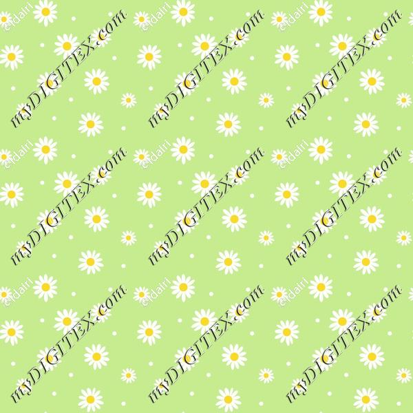 daisies_green